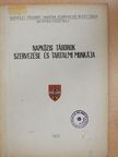 Nyerges Béla - Napközis táborok szervezése és tartalmi munkája [antikvár]