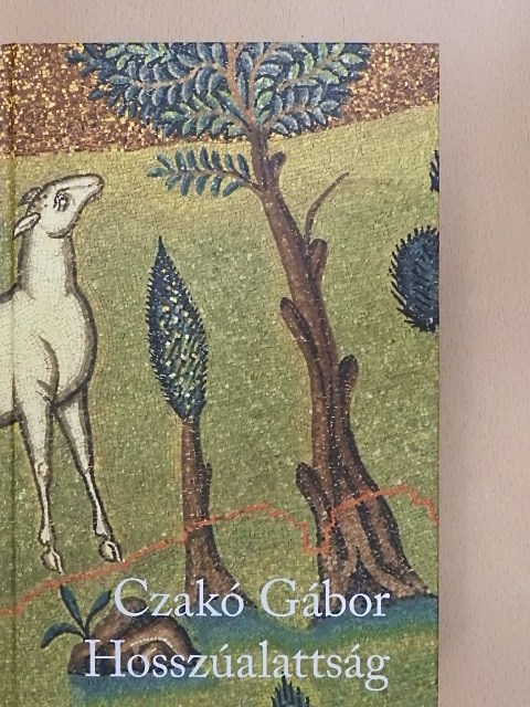 Czakó Gábor - Hosszúalattság [antikvár]