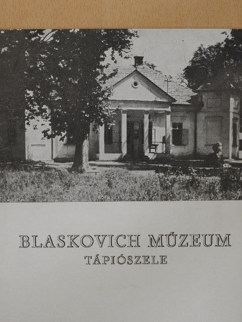 Dinnyés István - Blaskovich Múzeum Tápiószele [antikvár]