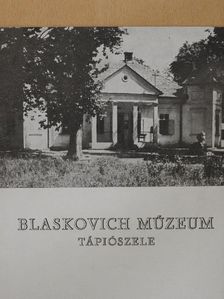 Dinnyés István - Blaskovich Múzeum Tápiószele [antikvár]