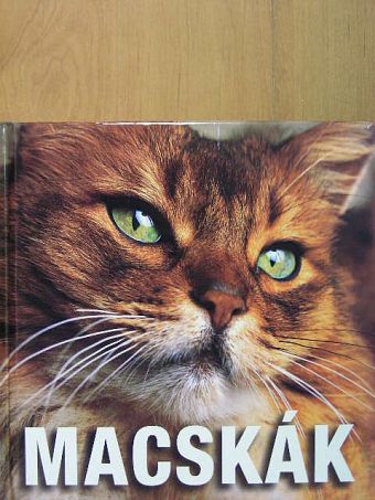 Caterina D Trana Gromis - Macskák [antikvár]