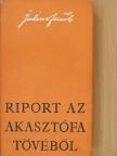 Julius Fucik - Riport az akasztófa tövéből [antikvár]