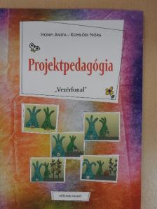Honfi Anita - Projektpedagógia [antikvár]