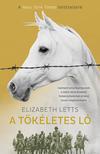 Elizabeth Letts - A tökéletes ló