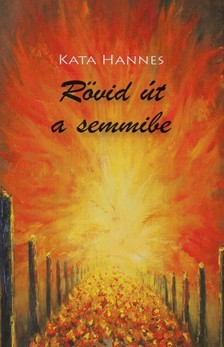 Kata Hannes - Rövid út a semmibe [eKönyv: epub, mobi]