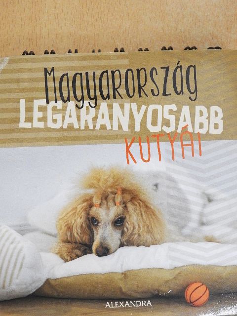 Magyarország legaranyosabb kutyái [antikvár]
