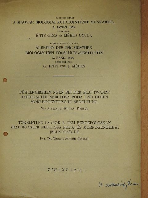 Dr. Wolsky Sándor - Fühlermissbildungen bei der Blattwanze Raphigaster Nebulosa Poda und deren Morphogenetische bedeutung [antikvár]