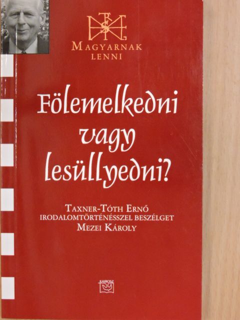 Mezei Károly - Fölemelkedni vagy lesüllyedni? [antikvár]