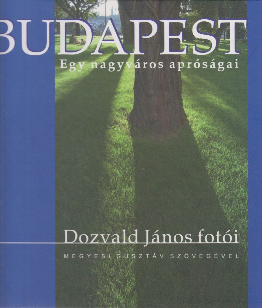 Dozvald János - Budapest - Egy nagyváros apróságai [antikvár]
