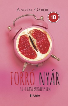 Angyal Gábor - Forró nyár: 11+1 pasi Budapesten [eKönyv: epub, mobi]