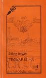 Silling István - Tegnap és ma [antikvár]