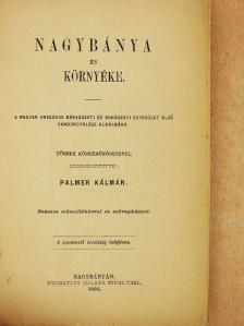 Boitner Károly - Nagybánya és környéke [antikvár]
