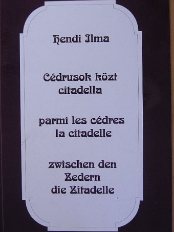 Hendi Ilma - Cédrusok közt citadella [antikvár]