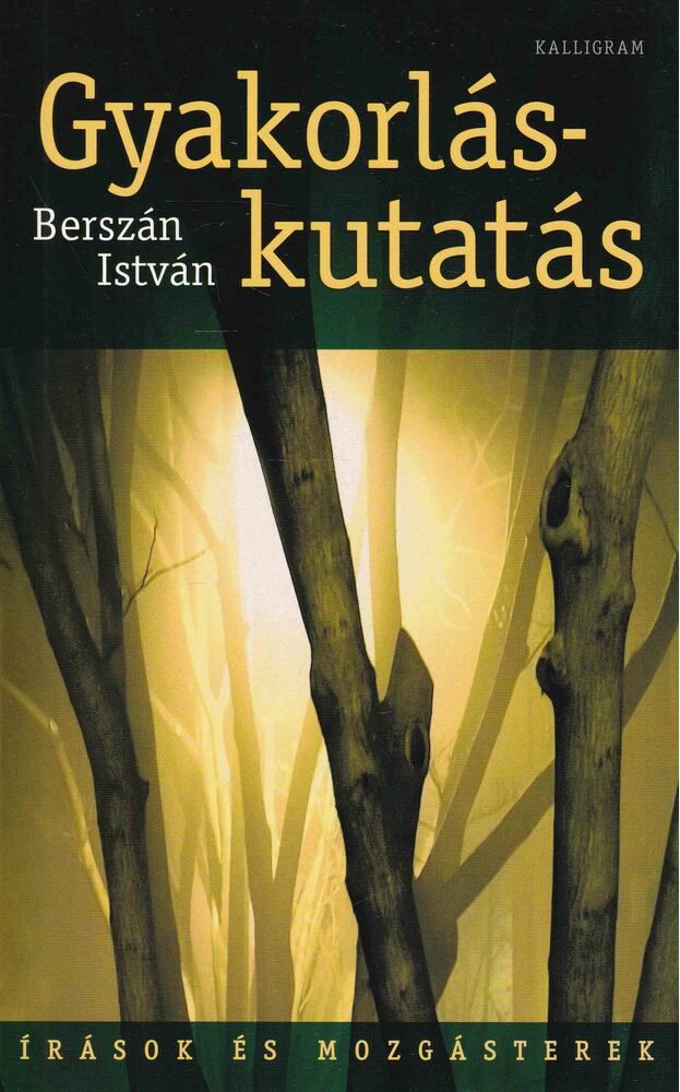 Berszán István - Gyakorláskutatás [antikvár]