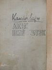 Kassák Lajos - Akik eltévedtek [antikvár]