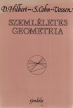 Cohn-Vossen, Stefan, Hilbert, David - Szemléletes geometria [antikvár]