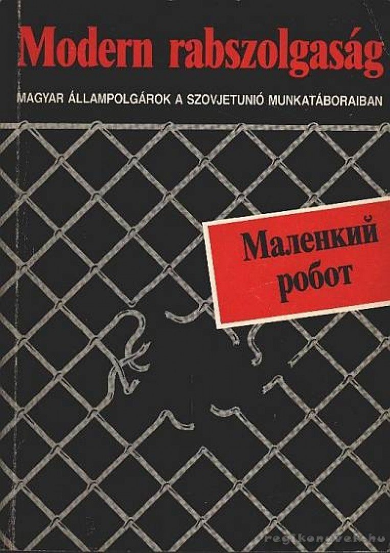 Füzes Miklós - Modern rabszolgaság [antikvár]