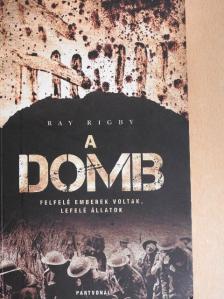 Ray Rigby - A domb [antikvár]