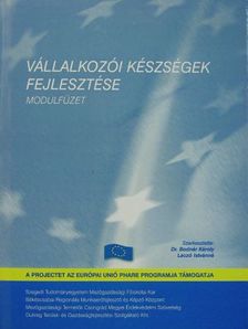 Badacsonyi Anna - Vállalkozói készségek fejlesztése [antikvár]