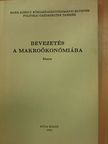 Berde Éva - Bevezetés a makroökonómiába [antikvár]
