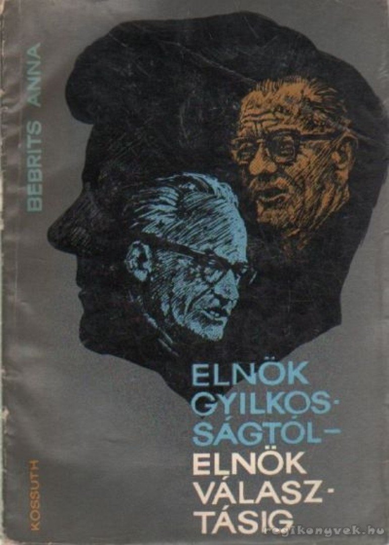 Bebrits Anna - Elnökgyilkosságtól - elnökválasztásig [antikvár]