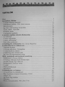 Dienes István »a honfelügyelő« [antikvár]