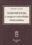 Ködöböcz József - Sárospatak a magyar művelődés történetében [antikvár]