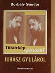 Borbély Sándor - Tükörkép Juhász Gyuláról [antikvár]