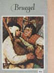 Wolfgang Stechow - Pieter Bruegel the Elder [antikvár]