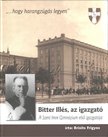 Brisits Frigyes Dr. - Bitter Illés, az igazgató [antikvár]