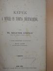 Dr. Kellner Lőrincz - Képek a nevelés és tanitás történelméből [antikvár]