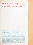 Bába Iván - Magyar kisebbségek a Kárpát-medencében [antikvár]