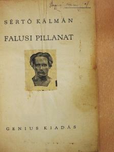 Sértő Kálmán - Falusi pillanat [antikvár]