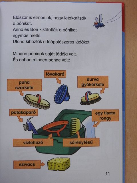 Julia Boehme - Bori és a vad póni [antikvár]