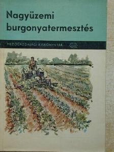 Barada Lajos - Nagyüzemi burgonyatermesztés [antikvár]