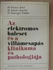 Dr. Irányi Jenő - Az elektromos baleset és a villámcsapás klinikuma és pathologiája [antikvár]