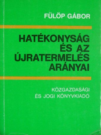 Fülöp Gábor - Hatékonyság és az újratermelés arányai [antikvár]