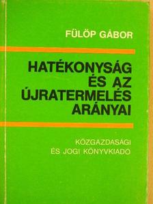 Fülöp Gábor - Hatékonyság és az újratermelés arányai [antikvár]