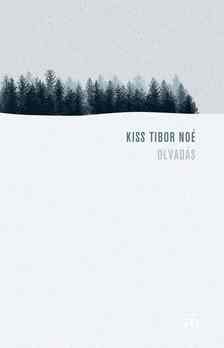 KISS TIBOR NOÉ - Olvadás