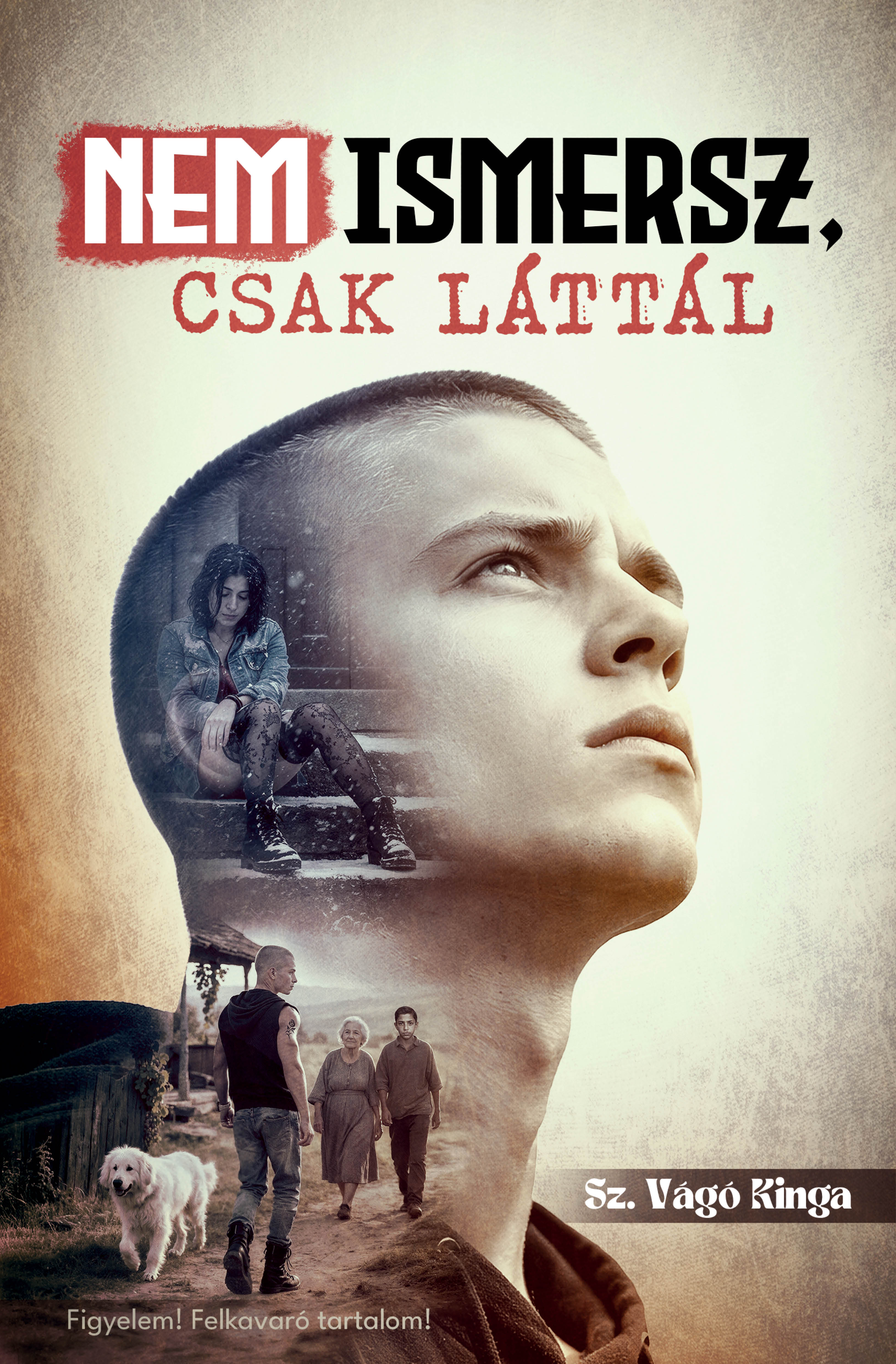 Sz. Vágó Kinga - Nem ismersz, csak láttál