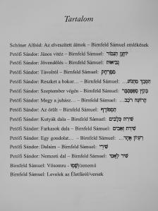 Schőner Alfréd - Az elveszített álmok (dedikált példány) [antikvár]