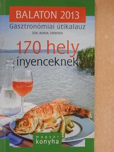 Balaton 2013 [antikvár]
