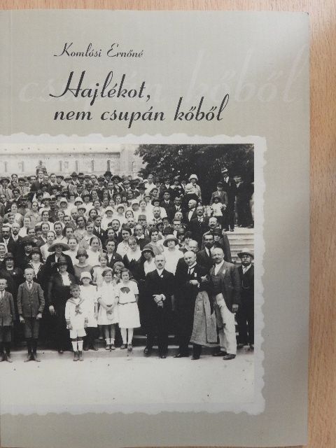 Komlósi Ernőné - Hajlékot, nem csupán kőből [antikvár]