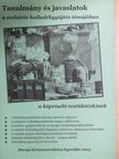 Nádor Tamás - Tanulmány és javaslatok a szelektív hulladékgyűjtés témájában a képviselő-testület(ek)nek [antikvár]