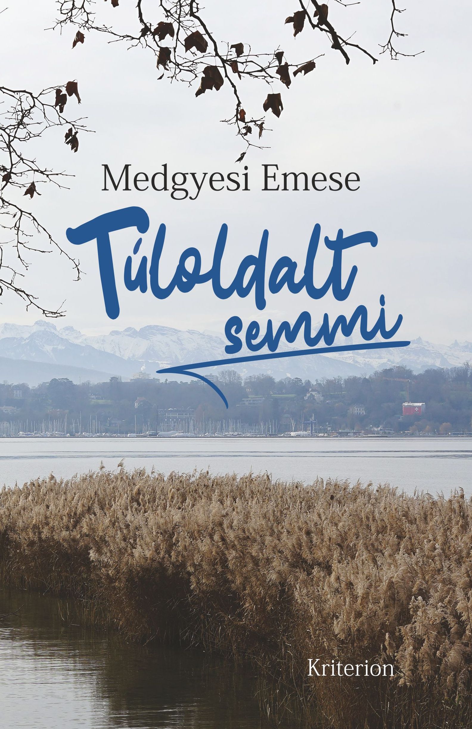 Medgyesi Emese - Túloldalt semmi