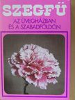 Furka Mihály - Szegfű az üvegházban és a szabadföldön [antikvár]