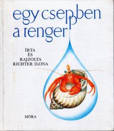 Richter Ilona - Egy cseppben a tenger [antikvár]