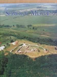 Nagy Pál - Somogy megye [antikvár]