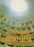 Törő István - Ébredő lélek [antikvár]