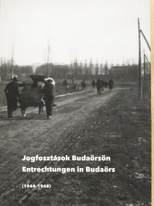 Jogfosztások Budaörsön [antikvár]